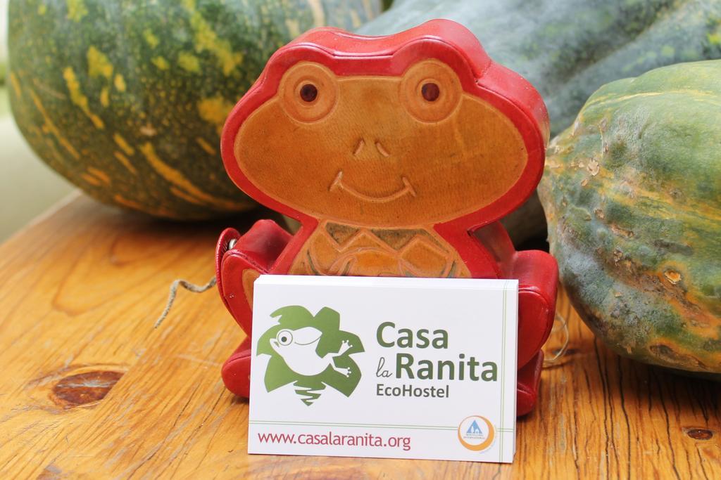 洛斯瑟罗斯Casa La Ranita住宿加早餐旅馆 外观 照片